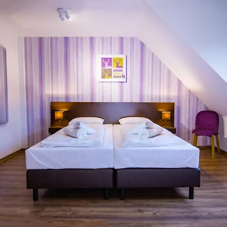 Отель Hirsch 3*