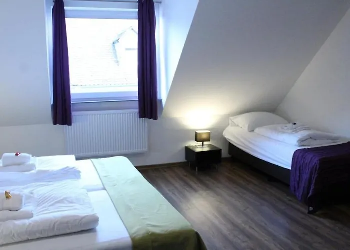 Hotel Hirsch 3*